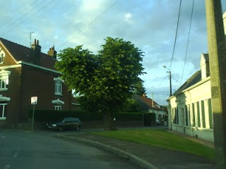 L’arbre des amoureux