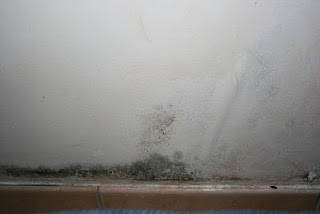 De l’eau… toujours de l’eau