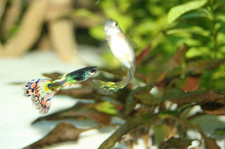 La famille s’agrandit!!