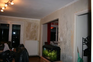 Salon et Salle a manger : travaux le retour !