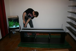 Anniversaire Céline