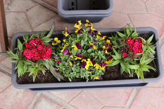 Le retour des beaux jours…