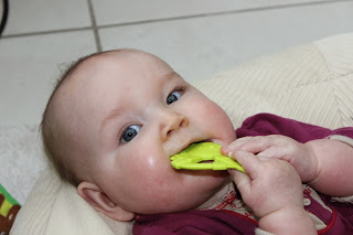 Maxine a (eu) 8 mois